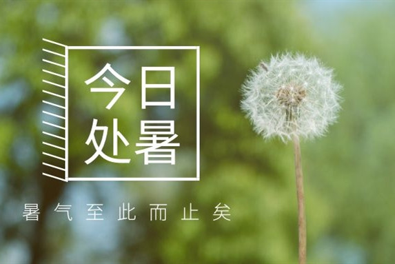 【衡陽通用電纜】處暑不是暑，秋涼知我意